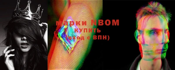 гашик Алексин