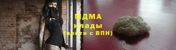 гашик Алексин