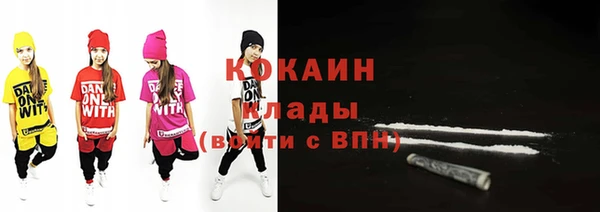 соль ск Алзамай