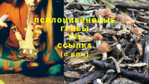 мяу мяу кристалл Алексеевка