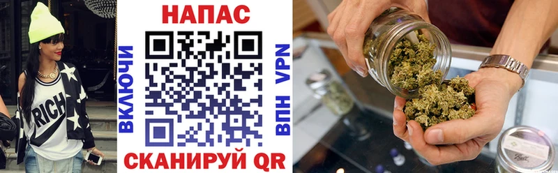 Бошки Шишки ГИДРОПОН  Лукоянов 
